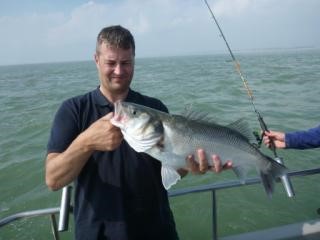 Lymington Bass Fishing