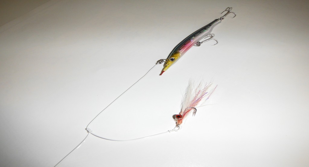 Fly Dropper - Lure Fishing for Bass