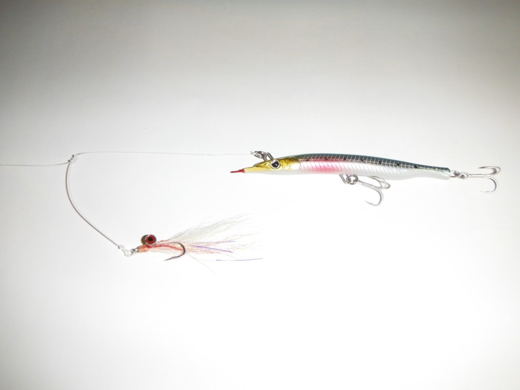 Fly Dropper - Lure Fishing for Bass