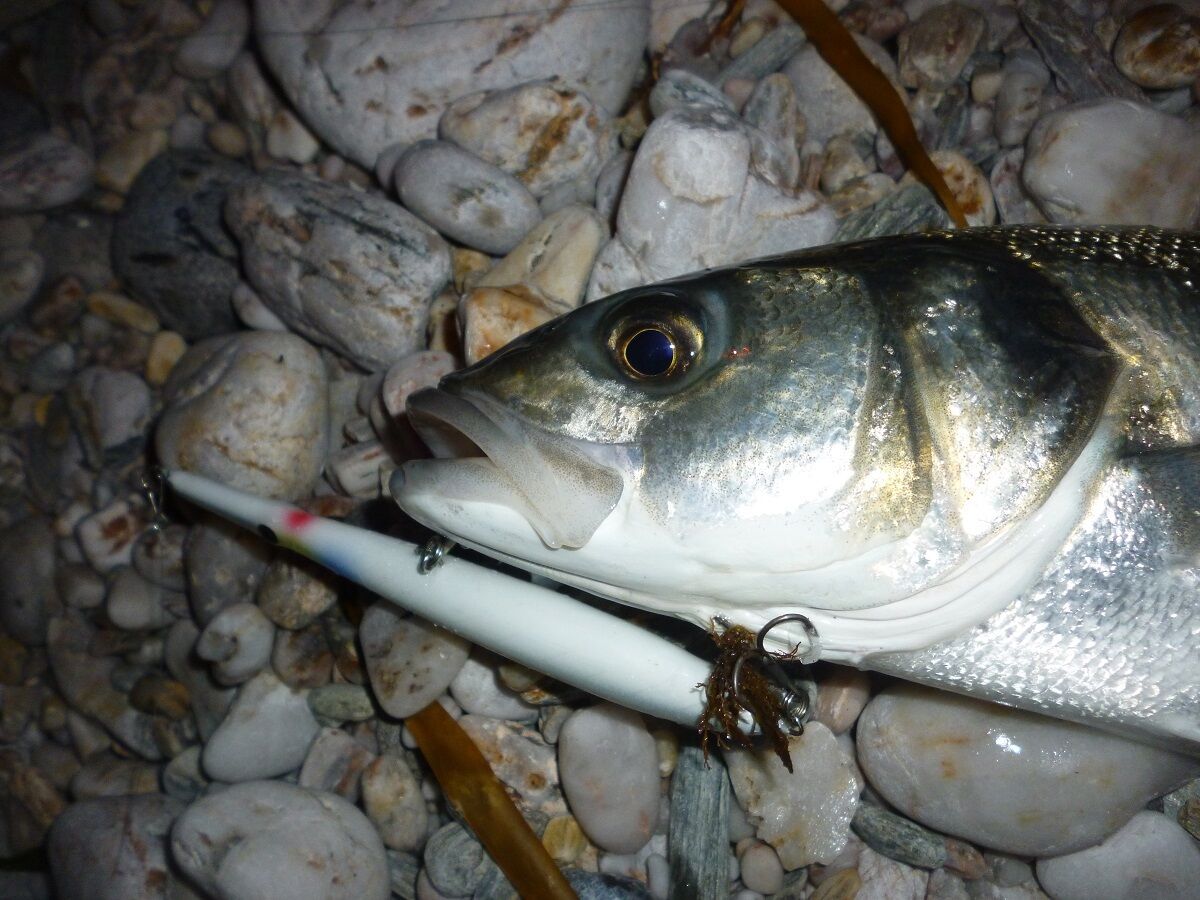 Rock Fishing with lures in the UK