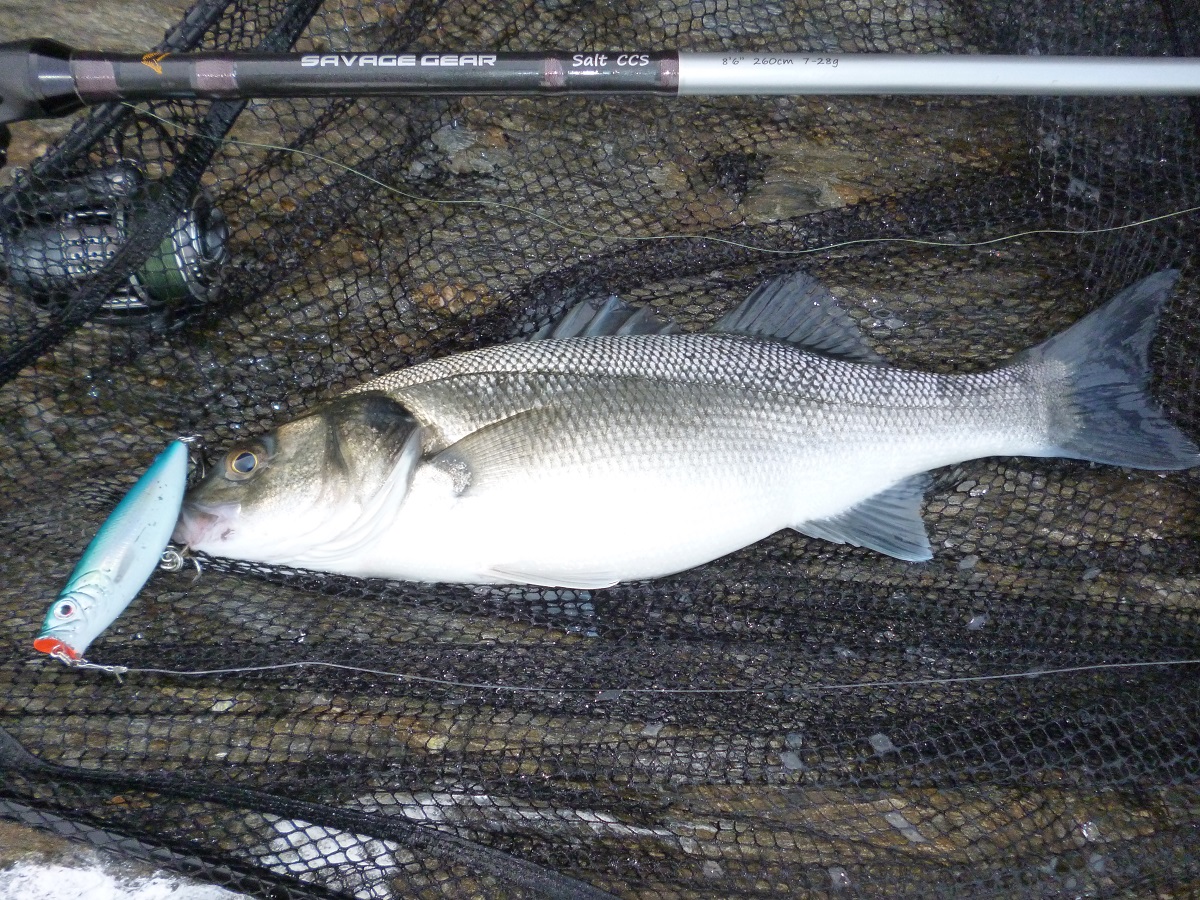 OSP DoLive Stick and Shad – South Devon Bass Guide Ltd